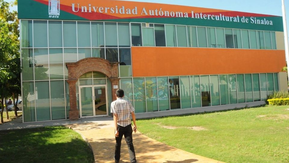Ley orgánica UAIM